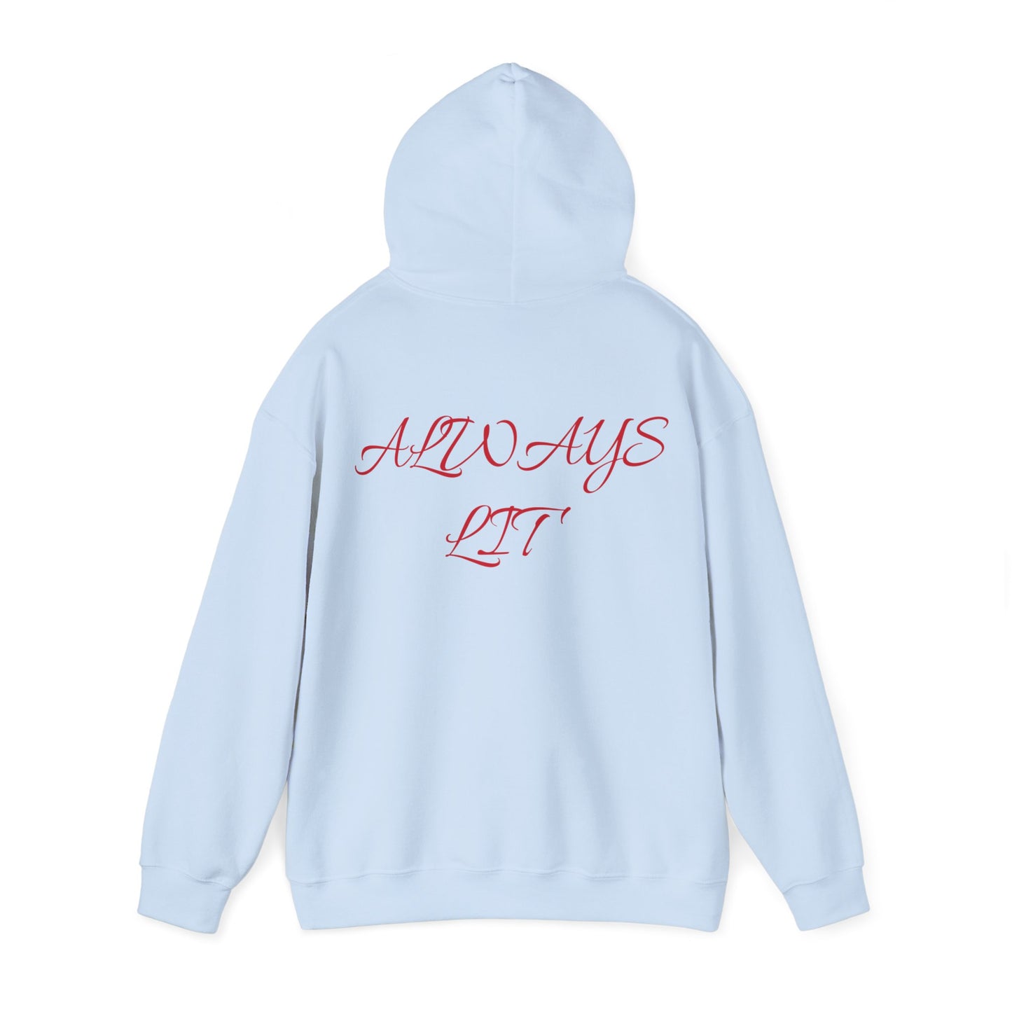 A unisex Heavy Blend™ Hooded Sweatshirt